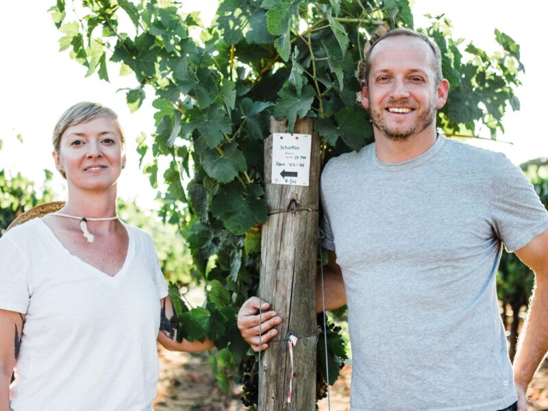 Fine Disregard Altas Piedras Grenache Alexander Valley 2018 - Image 2