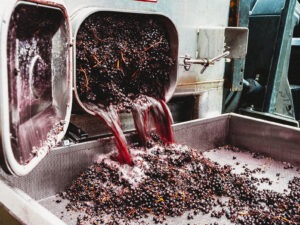 Bold Wine Company