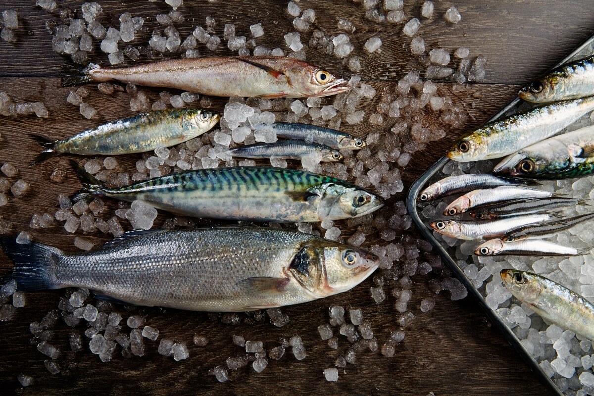 best wine for fish? selection of shiny fish on a wooden board