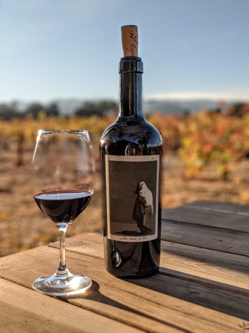 el Coco 2019 - Image 2