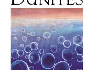 Dunites_Pet Nat label - dark peach coloured sky above blue abstract sea with large bubbles