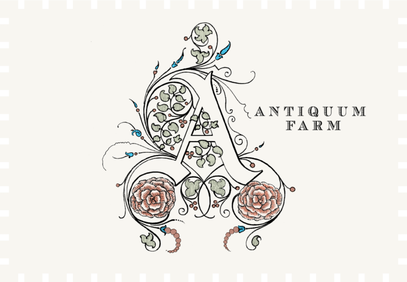 Antiquum Farm Aurosa Pinot Gris 2022