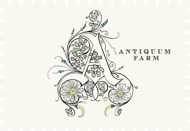 Antiquum Farm Daisy Pinot Gris 2022