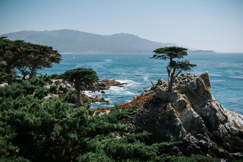 Monterey