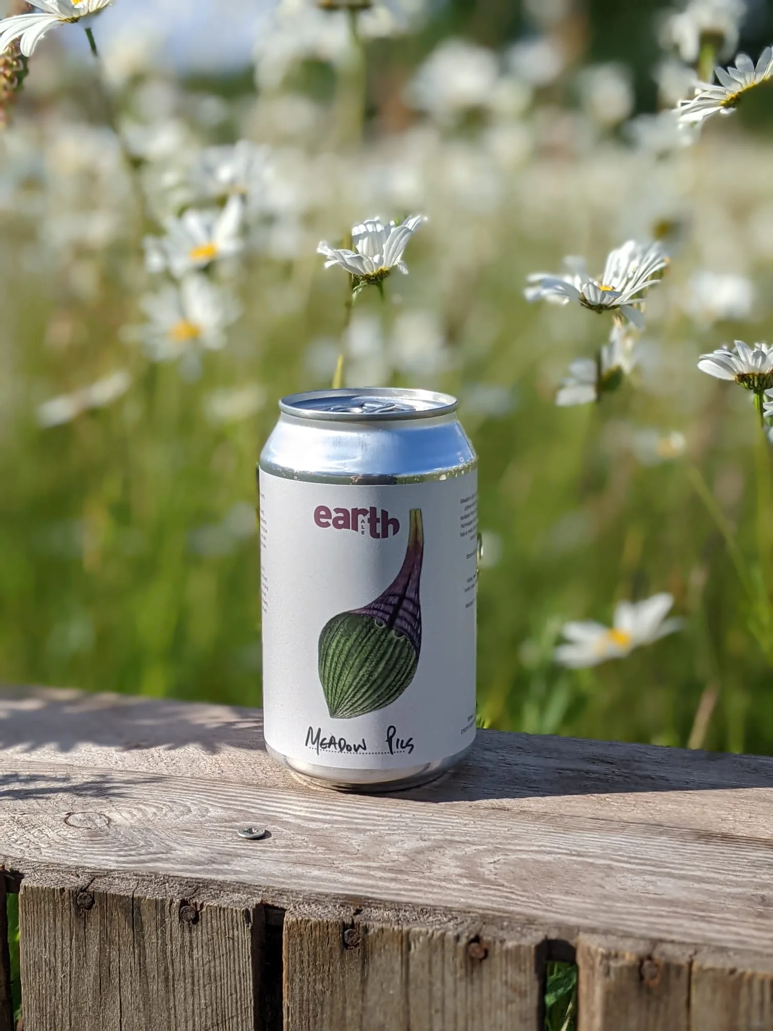 Meadow Pils