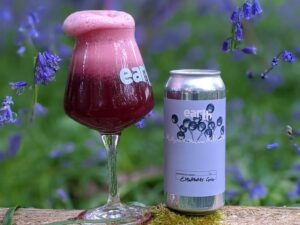 Elderberry Gose by Earth Ale