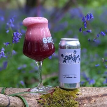 Elderberry Gose by Earth Ale